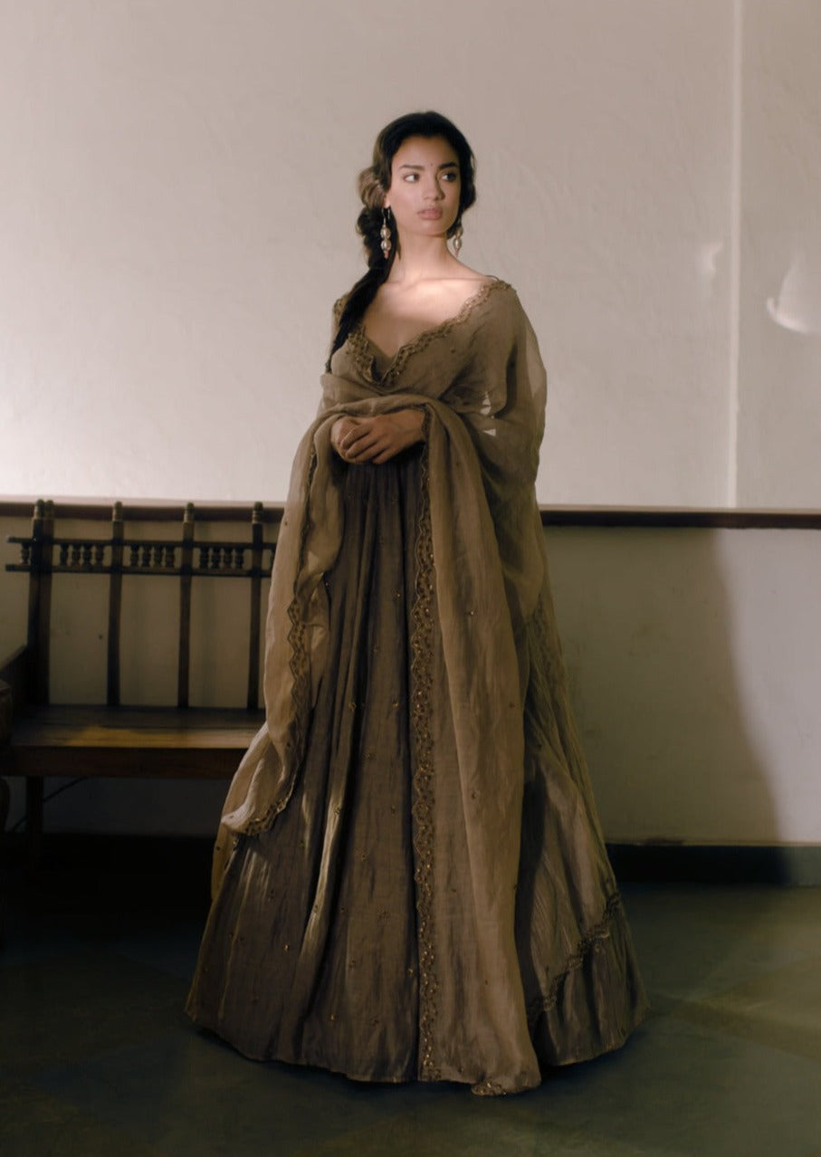 Brown Organdy Anarkali