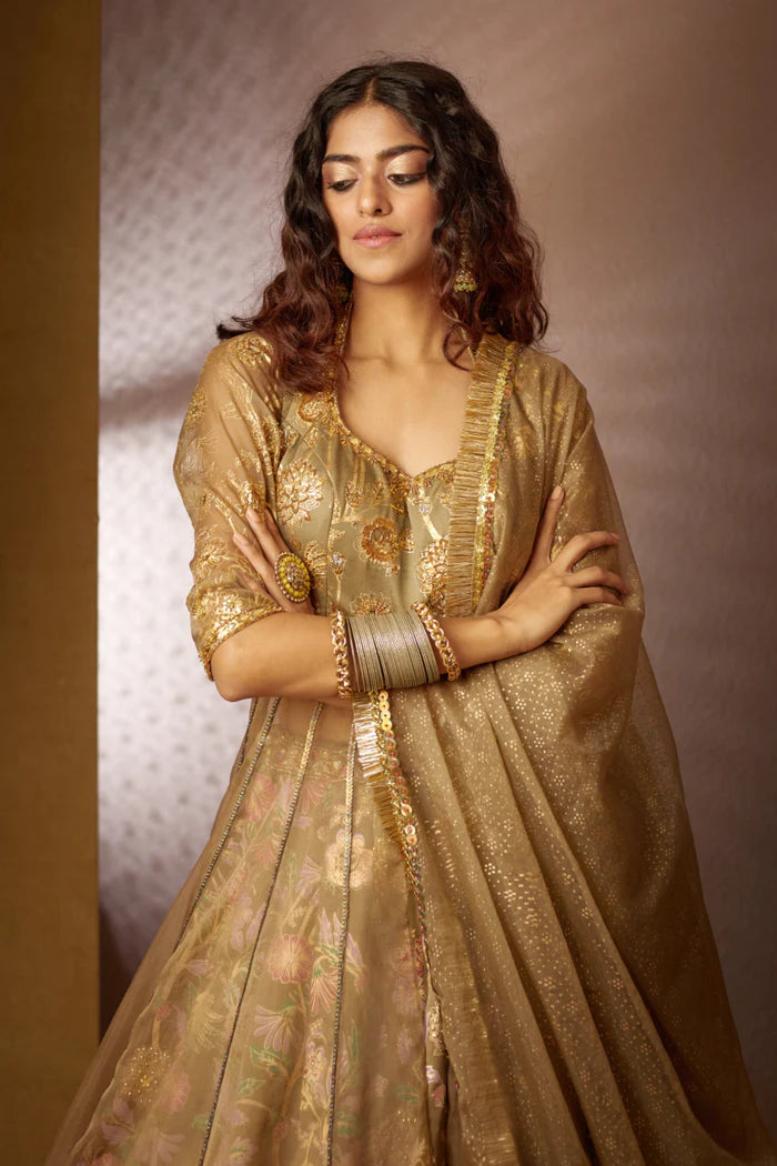 Jheel Lehenga Set