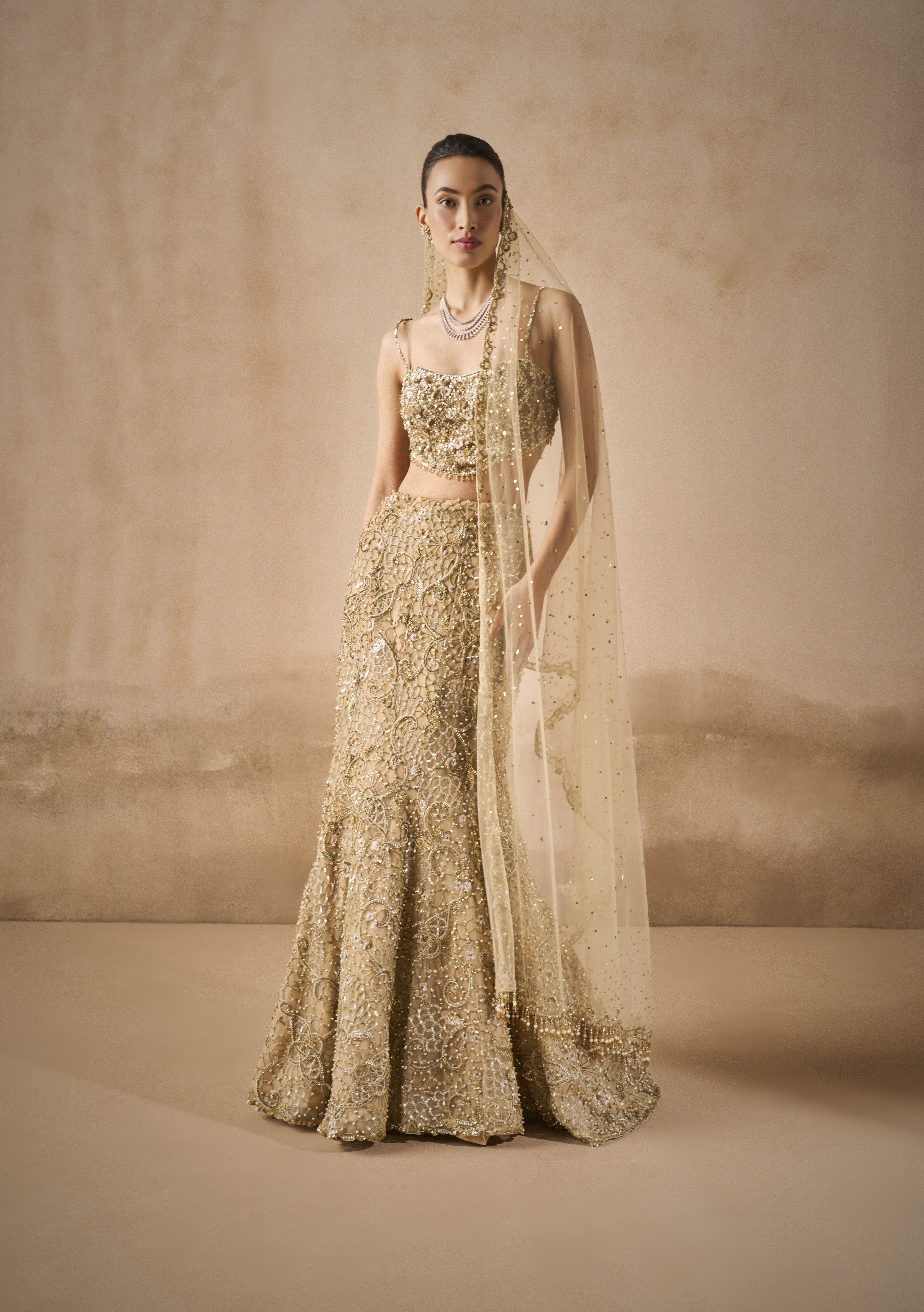 Beige Gold Sparkle Tulle Fit And Flare Lehenga Set