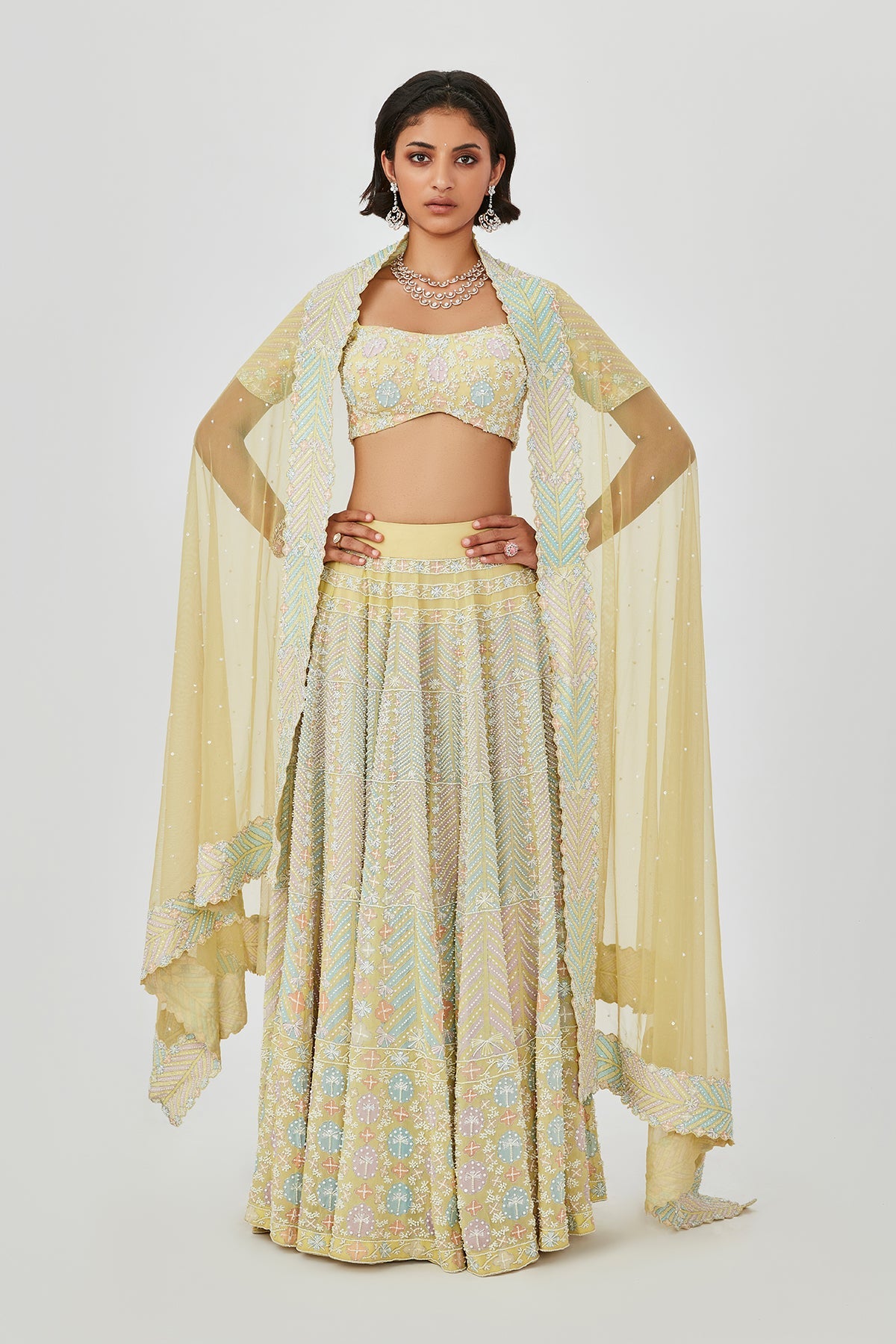 Yasmin - Yellow Georgette Lehenga Set